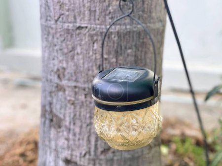 a photography of a solar powered light hanging from a tree.