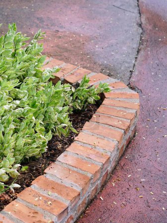 a photography of a brick border with a planter in the middle.
