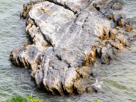 eine Fotografie eines großen Felsens im Wasser, auf dem ein Vogel thront.