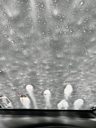 a photography of a car dashboard with a bunch of birds on it.