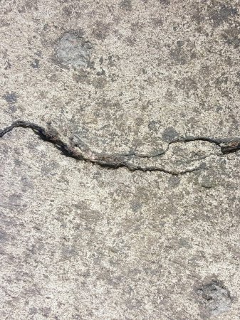 una fotografía de una grieta en el hormigón con una serpiente en ella.