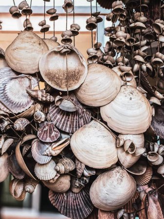 Foto de Una fotografía de un montón de conchas colgando de un árbol. - Imagen libre de derechos