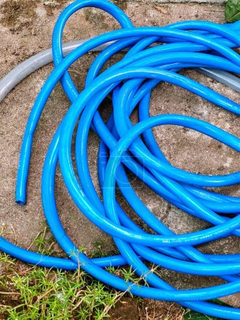 Photo for A photography of a blue hose laying on the ground next to a green hose. - Royalty Free Image