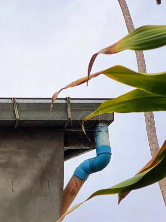 une photographie d'un tuyau bleu sur un toit avec une plante au premier plan.