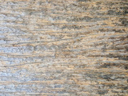 a photography of a close up of a wood surface with a very rough surface.