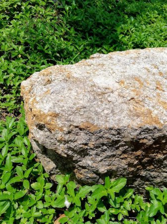 eine Fotografie eines Felsens inmitten eines grünen Feldes.