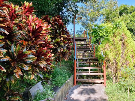 una fotografía de un conjunto de escaleras que conducen a un exuberante bosque verde.
