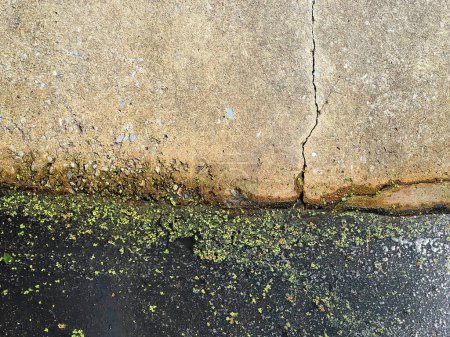 Photo for A photography of a dirty sidewalk with a green patch of grass. - Royalty Free Image