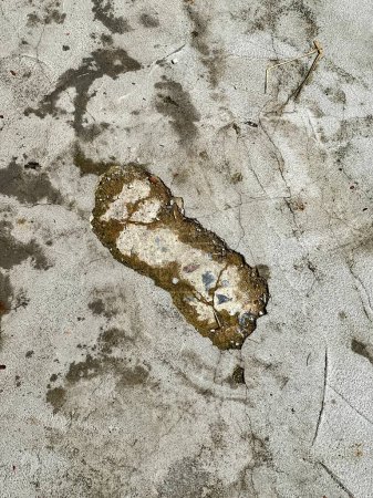 Photo for A photography of a dirty sidewalk with a small patch of dirt. - Royalty Free Image