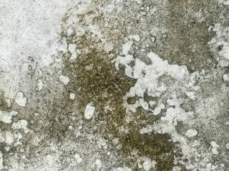Photo for A photography of a dirty wall with some white and green paint. - Royalty Free Image