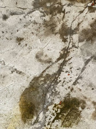 une photographie d'une bouche d'incendie sur un trottoir sale avec une bouche d'incendie rouge.