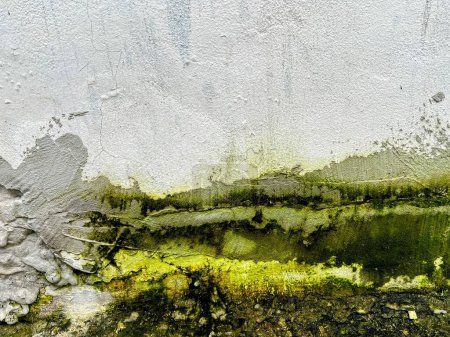 une photographie d'un mur sale avec une tache verte de peinture.