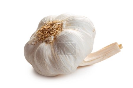 Foto de Garlic. A head of ripe garlic on a white background. Isolate - Imagen libre de derechos