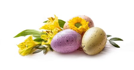 Téléchargez les photos : Joyeux Pâques. Trois œufs colorés et des fleurs jaunes printanières. isolat - en image libre de droit