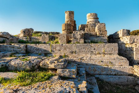 Las ruinas de la antigua ciudad de Paestum. Ruinas de una ciudad griega. Museo Arqueológico de Paestum