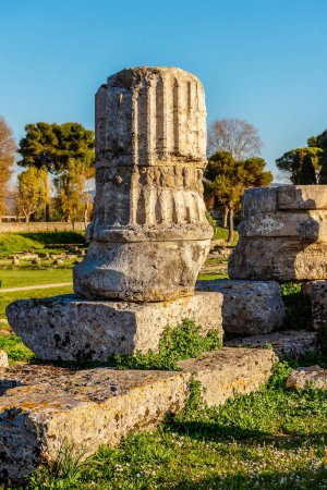 The ruins of the ancient city of Paestum. The column and steps of an ancient Greek temple