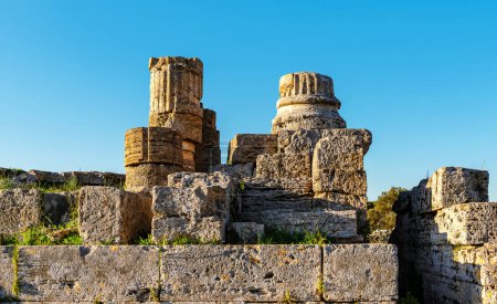 Las ruinas de la antigua ciudad de Paestum. Columnas y escalones de un antiguo templo griego. Museo al aire libre