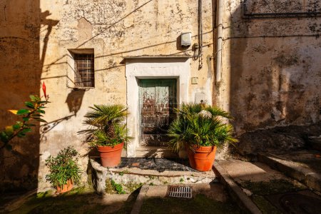 La porte d'entrée en bois de la vieille maison et les palmiers en pot debout à l'entrée
