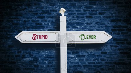 Photo for Street Sign the Direction Way to Clever versus Stupid - Royalty Free Image