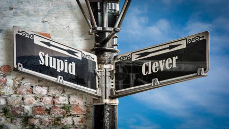 Photo for Street Sign the Direction Way to Clever versus Stupid - Royalty Free Image
