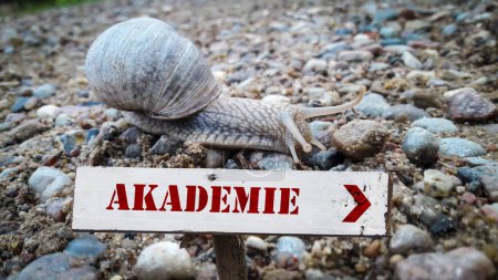 Téléchargez les photos : Image d'un panneau indiquant une académie en allemand. - en image libre de droit