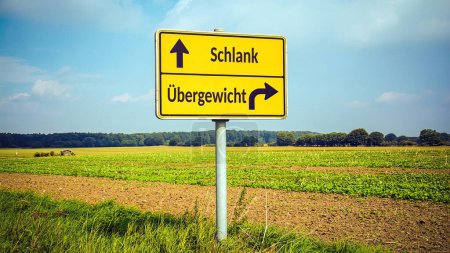 Foto de Una imagen con una señal apuntando en dos direcciones diferentes en alemán. Una dirección apunta a delgado, la otra apunta a la obesidad. - Imagen libre de derechos