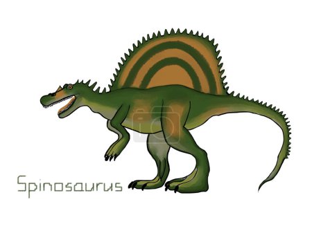 Foto de Spinosaurus. Período Cretácico. Ilustración. Sobre un fondo blanco. - Imagen libre de derechos
