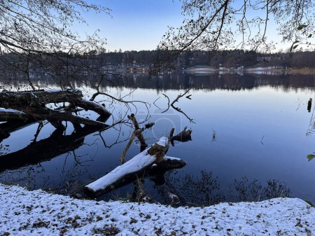 Téléchargez les photos : Rive du lac en hiver. Un parc. Neige. Soirée d'hiver. - en image libre de droit