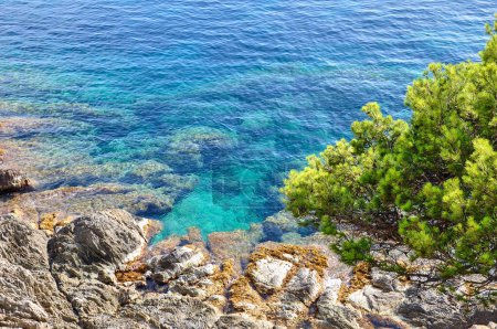 Téléchargez les photos : Falaises rocheuses et eaux turquoises de la Méditerranée française. Vue des hautes falaises, collines verdoyantes - en image libre de droit