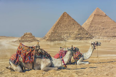 Téléchargez les photos : Les pyramides de la géza en Egypte - en image libre de droit