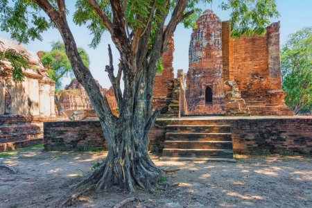 Ancient ruins and Temple in Ayutthaya City, Thailand