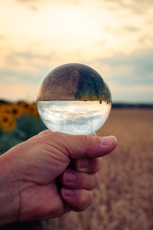 Photo for Vivid sunset over a sunflower field at sunset reflected in a lensball - Royalty Free Image