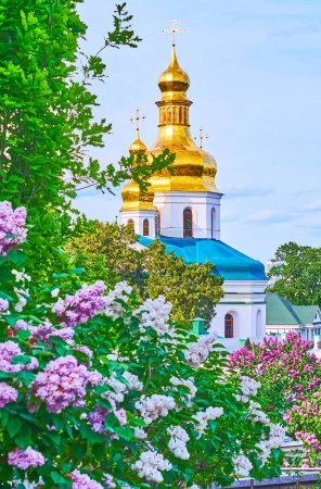 Foto de Colorido jardín de flores lila de Kiev Pechersk Lavra Cueva Monasterio con cúpulas de oro en el fondo, Kiev, Ucrania - Imagen libre de derechos