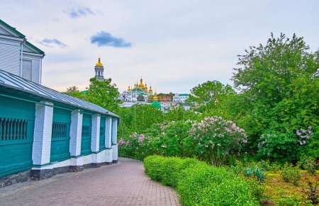 Foto de El exuberante jardín con flores lila púrpura en Kiev Pechersk Lavra Cave Monasterio con cúpulas de oro de la Catedral de la Dormición y Gran Campanario en el horizonte, Ucrania - Imagen libre de derechos