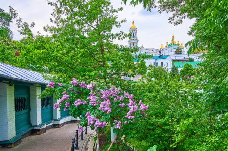 Foto de Kiev Pechersk Lavra Cueva Monasterio cuenta con jardín exuberante increíble, iglesias históricas y catedrales con cúpulas de oro, Ucrania - Imagen libre de derechos