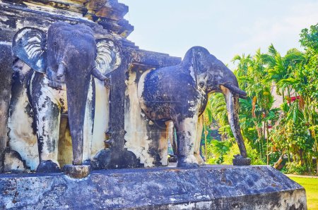 Téléchargez les photos : Sculptures historiques d'éléphants du Chedi Chang Lom (Elephant Chedi) contre le jardin tropique du temple Wat Chiang Man, Chiang Mai, Thaïlande - en image libre de droit