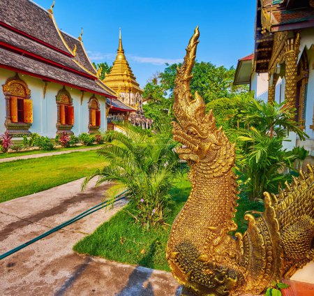 Téléchargez les photos : Statue dorée sculptée du crocodile Makara et du serpent Naga contre le jardin verdoyant, temple Wat Chiang Man, Chiang Mai, Thaïlande - en image libre de droit