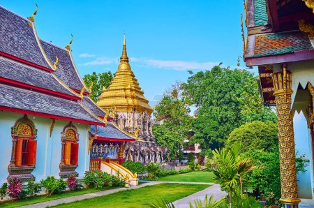 Téléchargez les photos : Le jardin tropical vert de Wat Chiang Man avec Viharns et Elephant Chedi, Chiang Mai, Thaïlande - en image libre de droit