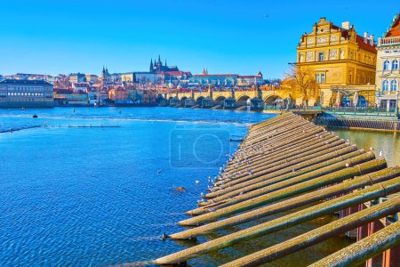 Téléchargez les photos : The wooden icebreakers are the most known constructions on Vltava River at Charles Bridge and old town Water Tower, Prague, Czechia - en image libre de droit