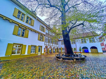 Téléchargez les photos : The lush tree in the courtyard of Museum of Cultures Basel, Switzerland - en image libre de droit