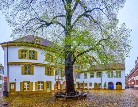 Foto de The courtyard of Museum of Cultures Basel with tall tree in the middle, Switzerland - Imagen libre de derechos