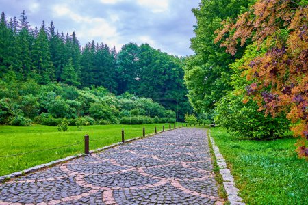 Téléchargez les photos : L'allée confortable dans les environs du jardin paysager pittoresque, parc Sofiyivsky à Uman, Ukraine - en image libre de droit