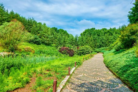 Téléchargez les photos : Profitez de la pelouse juteuse, des plantes pittoresques et de la verdure luxuriante du parc Sofiyivsky, Uman, Ukraine - en image libre de droit