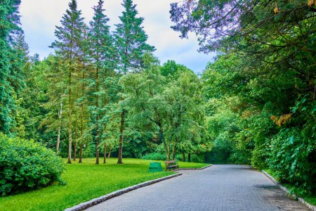 Téléchargez les photos : Le jardin paysager pittoresque avec des arbres luxuriants, parc Sofiyivsky dans la ville d'Uman, Ukraine - en image libre de droit
