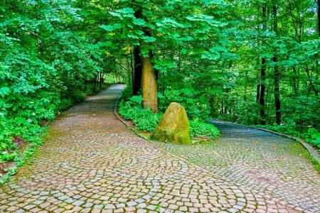Téléchargez les photos : Les ruelles agréables dans la forêt luxuriante du parc Sofiyivka, Uman, Ukraine - en image libre de droit