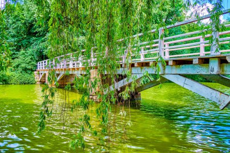 Foto de El viejo puente de madera en Upper Lake conduce a Love Island, Sofiyivka Park, Uman, Ucrania - Imagen libre de derechos