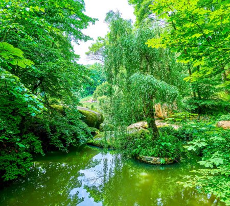 Téléchargez les photos : Le petit étang au milieu d'une végétation luxuriante dans la vallée des géants du parc Sofiyivka, Uman, Ukraine - en image libre de droit