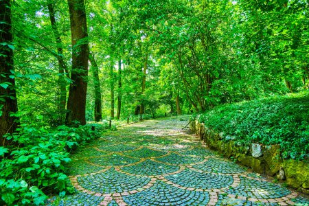 Foto de La manera agradable en la sombra de los árboles en el exuberante Parque Sofiyivka, Uman, Ucrania - Imagen libre de derechos