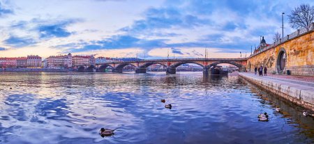 Foto de El crepúsculo panorama del río Moldava con piedra arqueada Puente Palacky y ánades flotantes en primer plano, Praga, Chequia - Imagen libre de derechos
