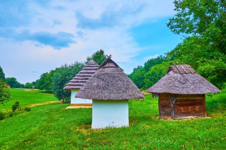 Foto de El hermoso pasto verde con viejos corrales de madera y adobe, cubierto con techos de paja, Chernivtsi scansen, Ucrania - Imagen libre de derechos